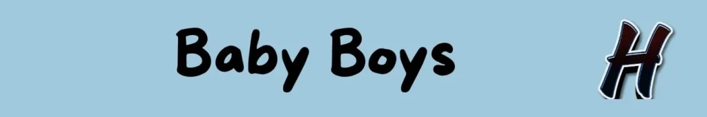 Muslim baby boy names starting with H
